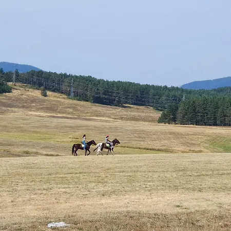 Hills Lara Zlatibor